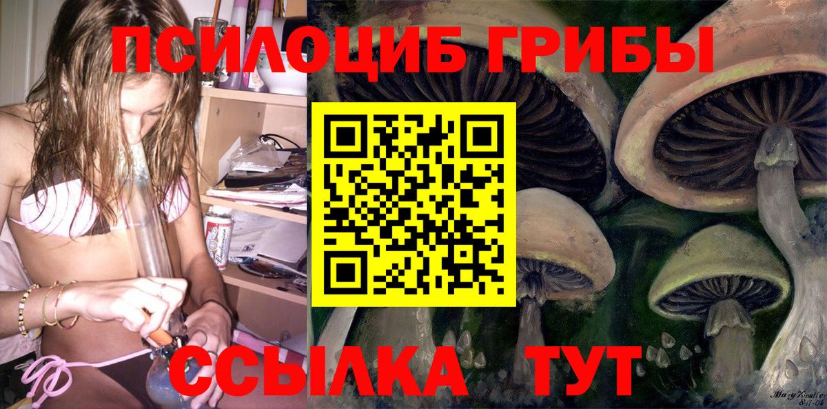 Сибай  Псилоцибиновые грибы мухоморы  Вход с VPN  Псилоцибиновые грибы Cubensis 